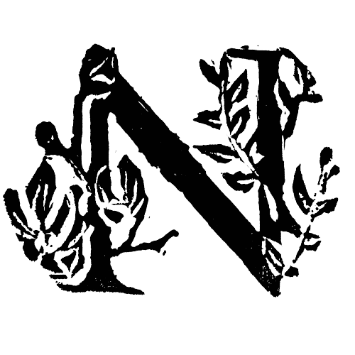 NatEv logo